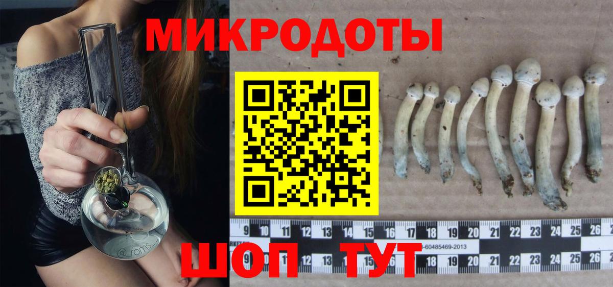 Тайшет  Псилоцибиновые грибы мухоморы  Вход с VPN 